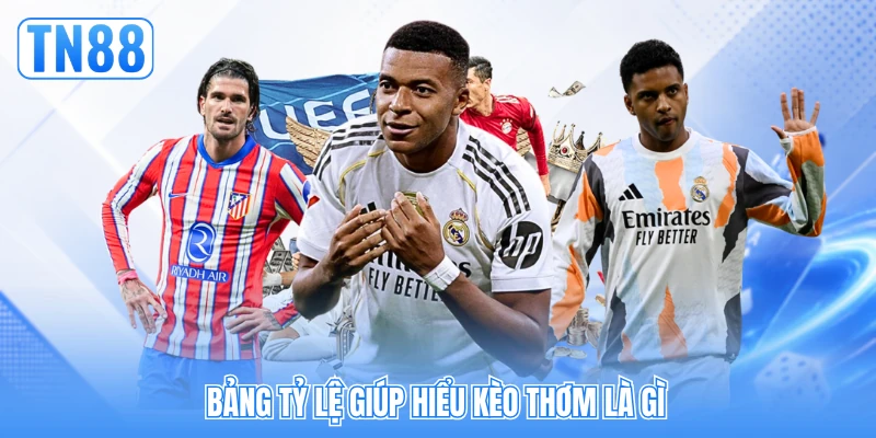 Bảng tỷ lệ giúp hiểu kèo thơm là gì Bảng tỷ lệ giúp hiểu kèo thơm là gì