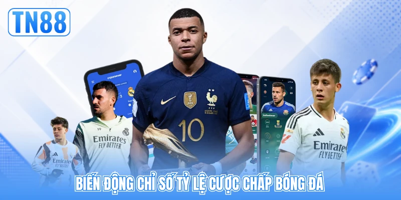 Biến động chỉ số tỷ lệ cược chấp bóng đá Biến động chỉ số tỷ lệ cược chấp bóng đá