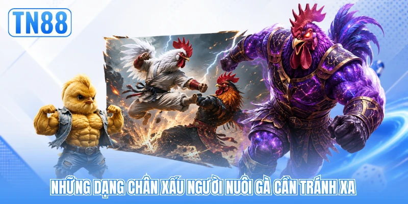 Những dạng chân xấu người nuôi gà cần tránh xa Những dạng chân xấu người nuôi gà cần tránh xa