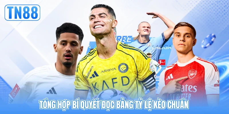Tổng hợp bí quyết đọc bảng tỷ lệ kèo chuẩn Tổng hợp bí quyết đọc bảng tỷ lệ kèo chuẩn
